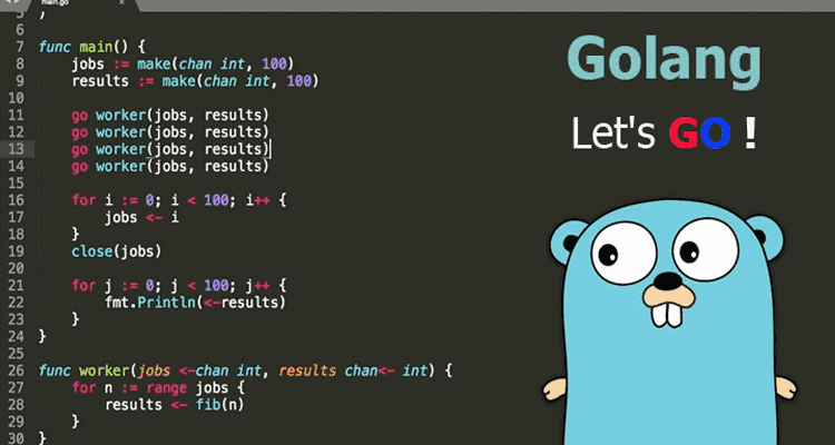 the-complete-developer-s-guide-go-programming-golang